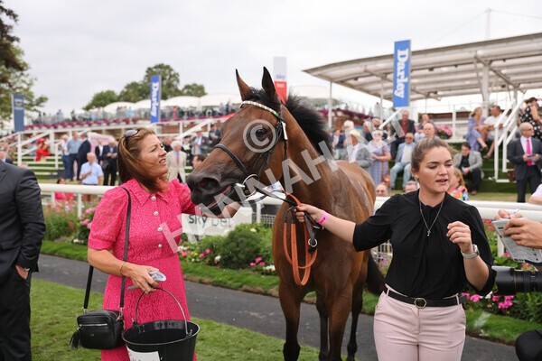 yr18082022r5-45 - Race 5 4.10pm British EBF & Sir Henry Cecil Galtres Stakes