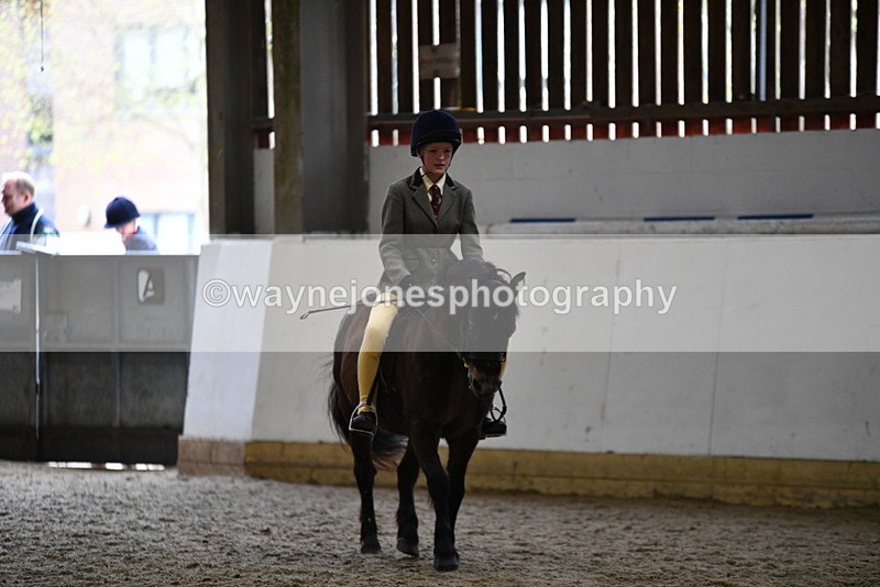 WJ5_6912 - Class 10 Childs Pony