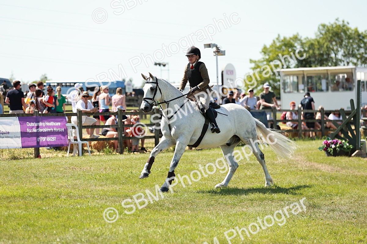 SBM_18297 - Class 112-113 - BSPS LIHS Working Sports Pony
