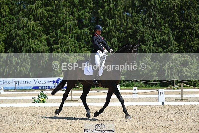 230526-140942-06925 - 482-BROOKFIELD_CAVALIER_CRUISE-Piggy_March-DR