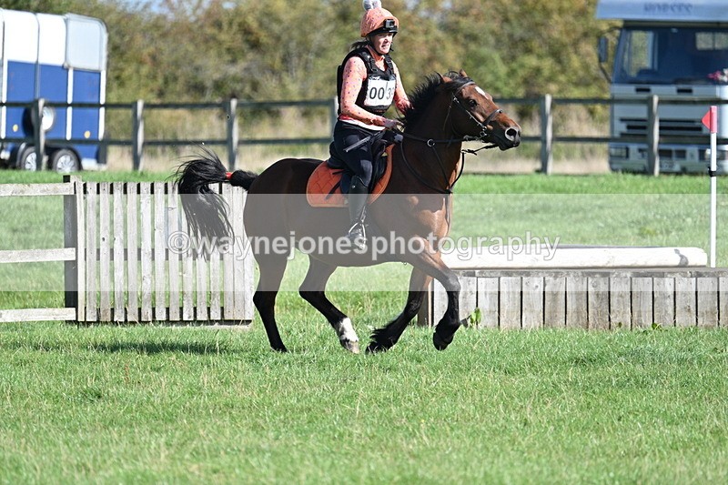 WJ7_1261 - Time 13:56 to 14:24