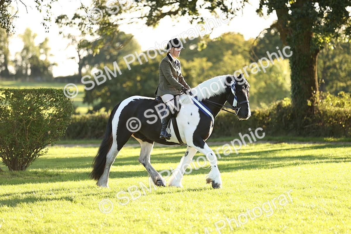 SBM_30156 - Novice & Newcomers Supreme Championship