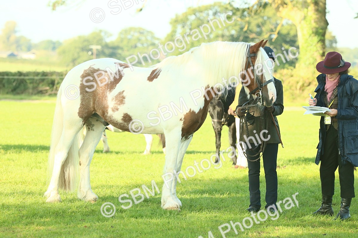 SBM_57524 - S37 - Starters In Hand Showing