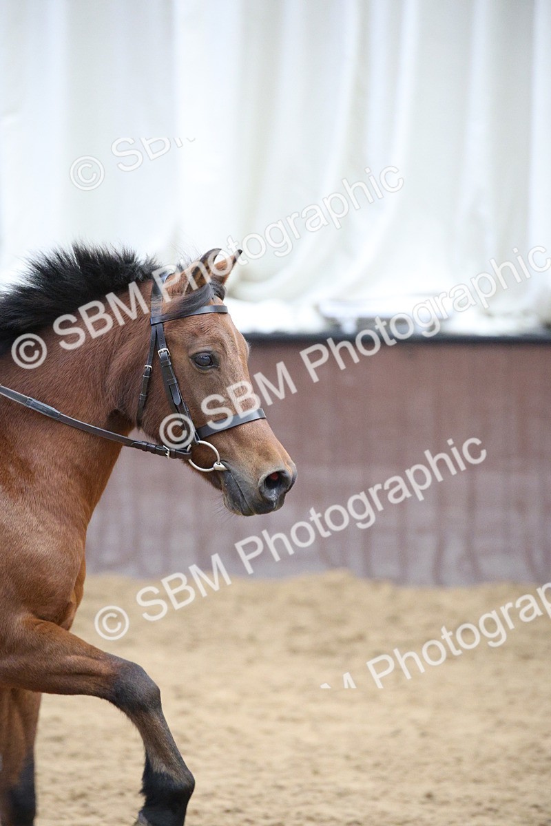 SBM_000607