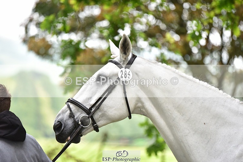 240522-172432-01585 - 285-CHF_BALLYTURN_BRILLIANT-Pascal_Van_moort