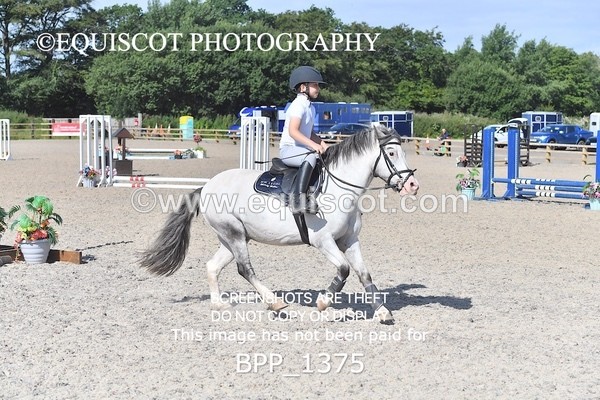 BPP_1375 - DERBY CLASS 2 - 30CM