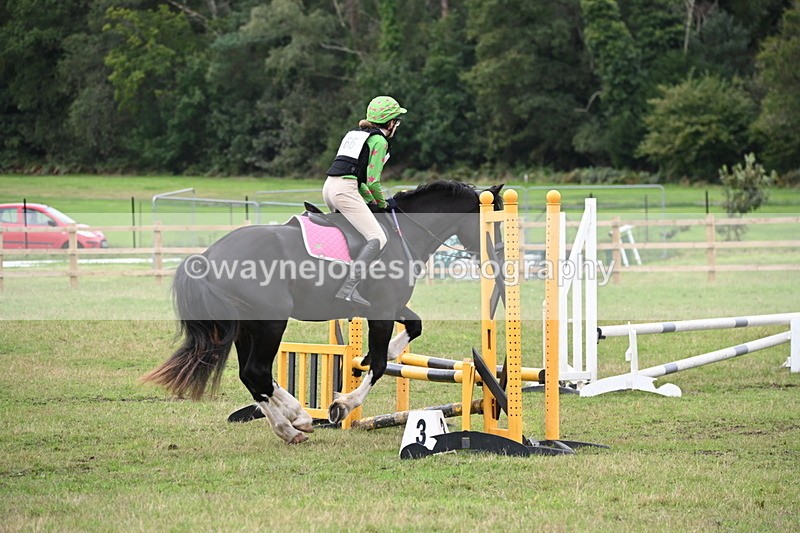 WJ6_1847 - 60cm Time 12:11 to 12:28