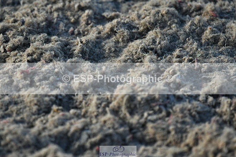 230811A-184010-07395 - Cls 26 4 Counties Grade C Champs