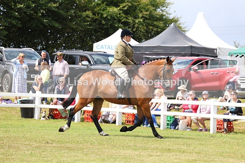 3E7A0484 - Rising Star Ridden Championship