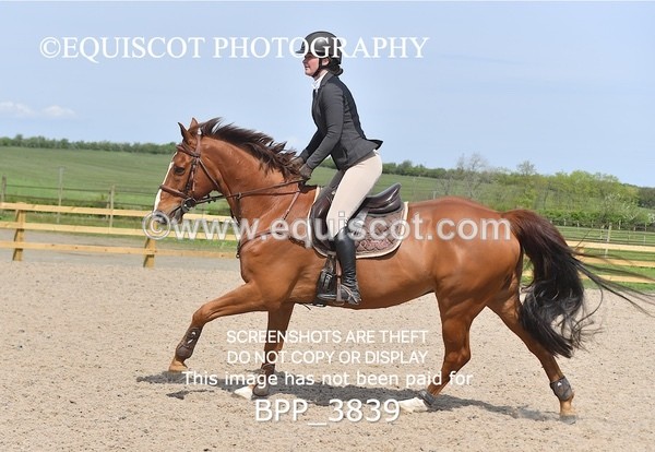 BPP_3839 - CLASS 6 Senior Newcomers/ 1.10m Open