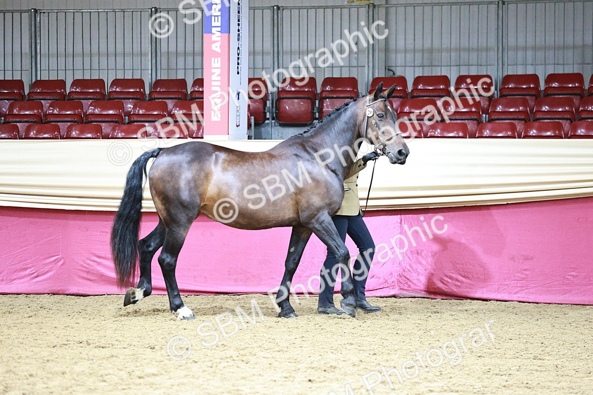 SBM_00850 - Class 2A - Area IH Veteran