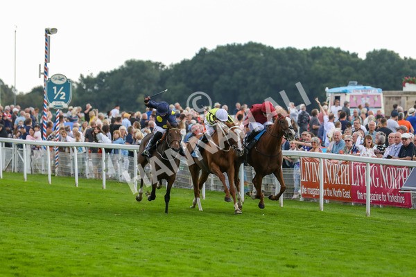 240823-Race 5-Sea Theme-5410 - Race 5 4.10pm British EBF & Sir Henry Cecil Galtres Stakes