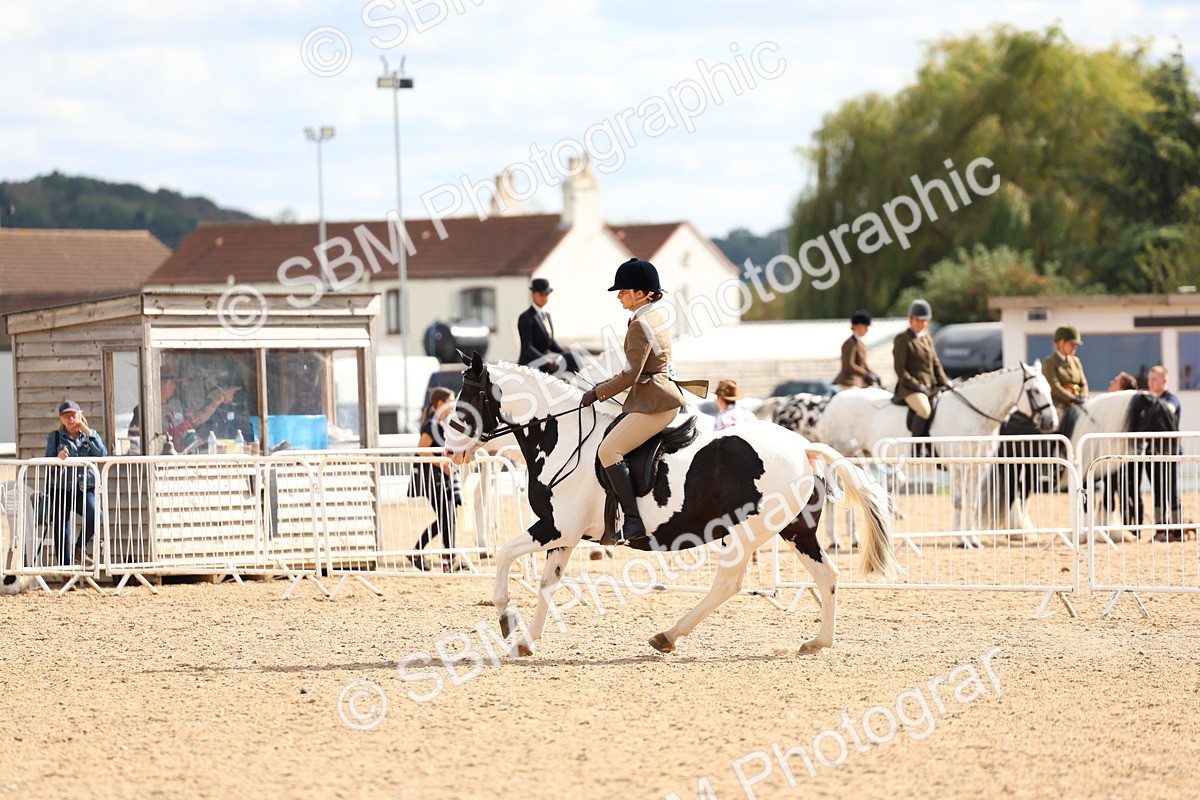 SBM_15850 - Class 314 - Family Horse - Pony