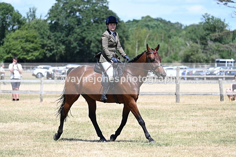 WJ7_3050 - Class 7 Riding Club Show Horse