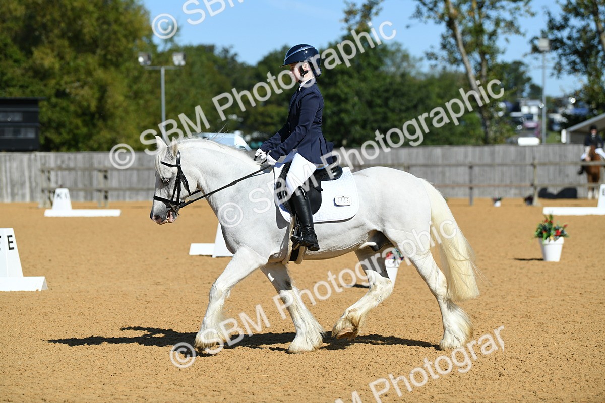 SBM_18112 - D4 - Small Tour Championship - Intro B