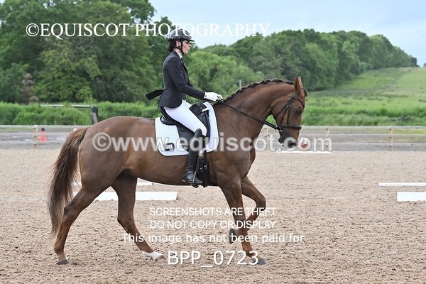 BPP_0723 - 17 N BAXTER