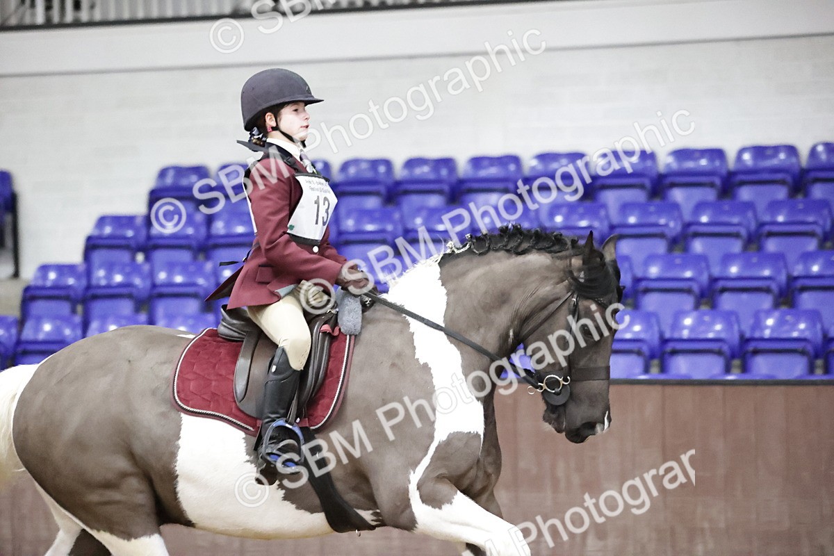 SBM_000163 - Class 1 - 80cm