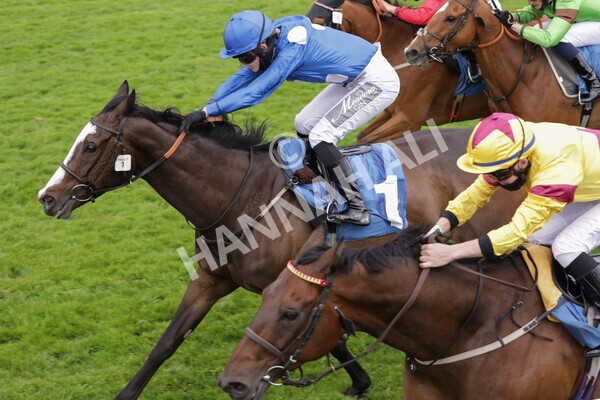 yr11062021r7-14 - Race 7 5.05pm SASH Charity Stakes