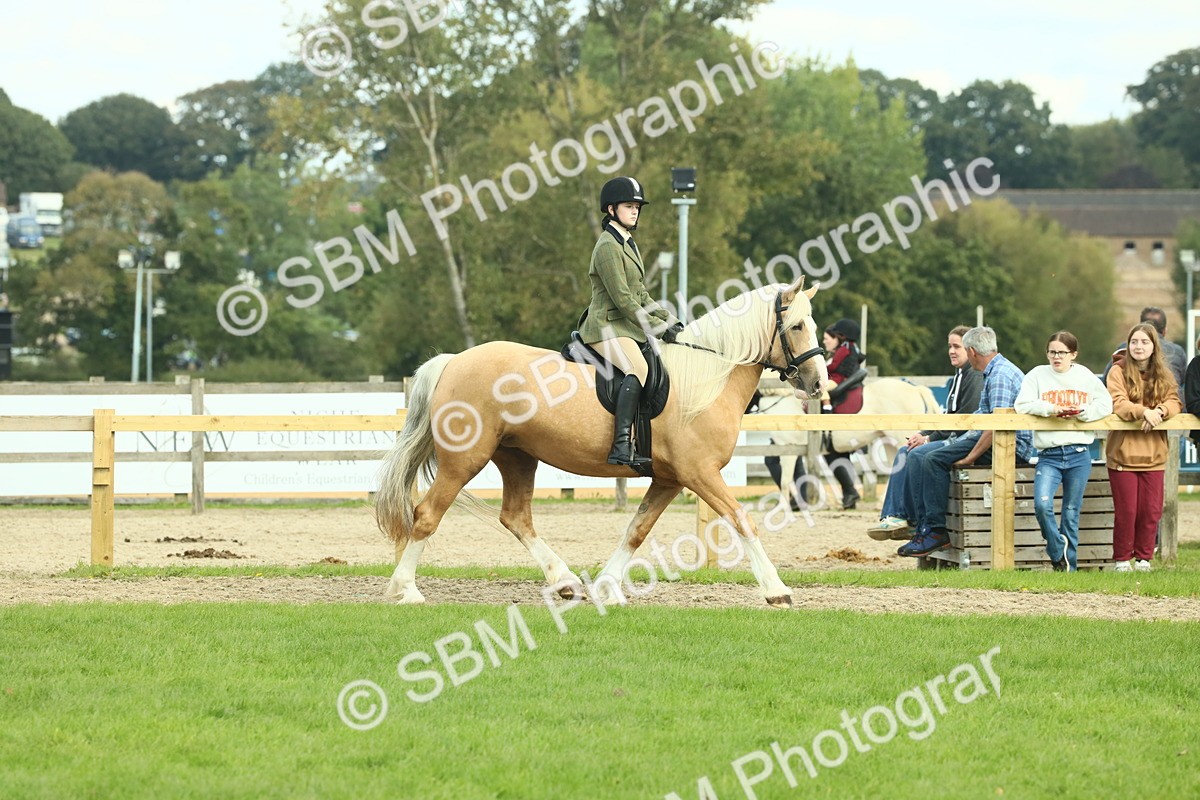 SBM_62640 - S63 - Other Coloured Horse Ridden