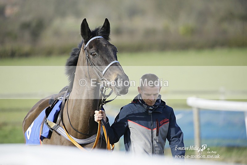 PtP 260222 533 - Kingston Blount Racing Club Point-to-Point 26/02/22