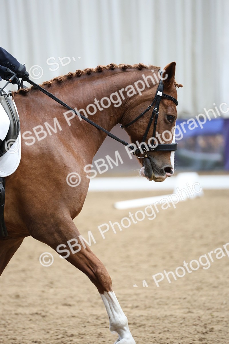 5K7A0246 - Novice 2