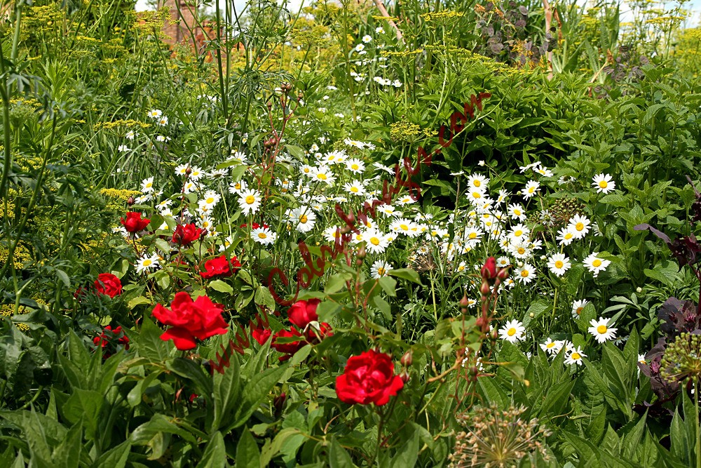 IMG_0023 - Great Dixter - Reopening Day after Lockdown