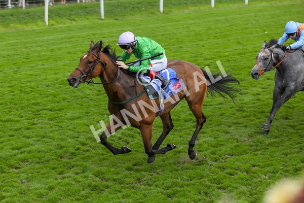 240824-Race 3-Breege-8977 - Race 3 3.00pm Sky Bet City Of York Stakes