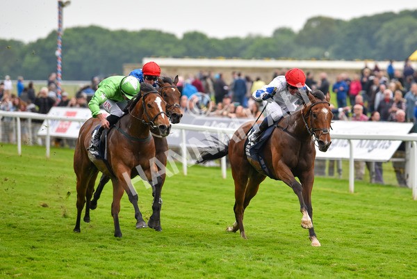 190523-Race 7-Kuwait City-1092 - Race 7 5.15pm Irish Champions Festival Handicap