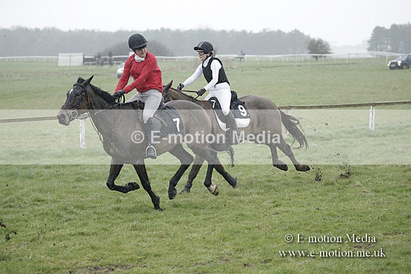 PtP 150320 0028 - New Forest Point-to-Point Larkhill 15/03/20