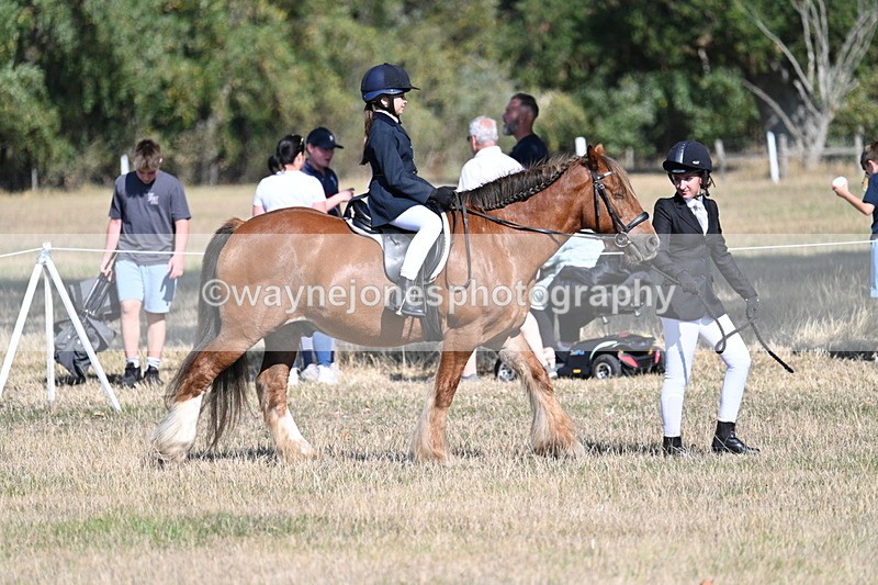 WJ7_3129 - Class 8 Ridden Tack & Turnout