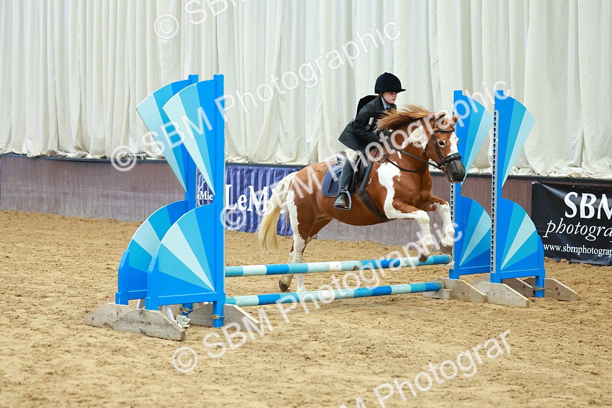 SBM_005588 - Class 2 - 50cm