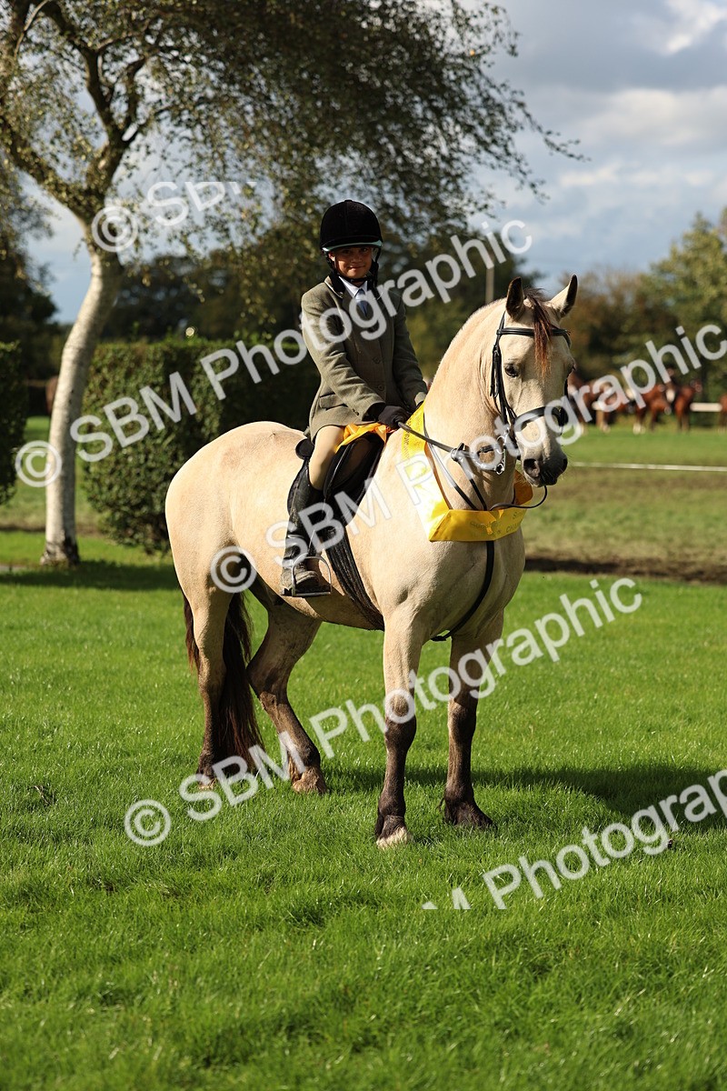 SBM_46435 - Working Hunter Pony Supreme Championship