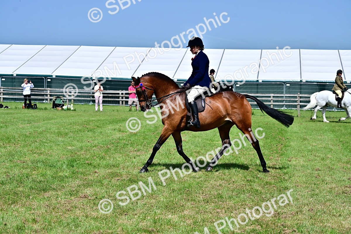 SBM_03743 - Class 58 - TSR  Ridden Veteran Amateur of the year