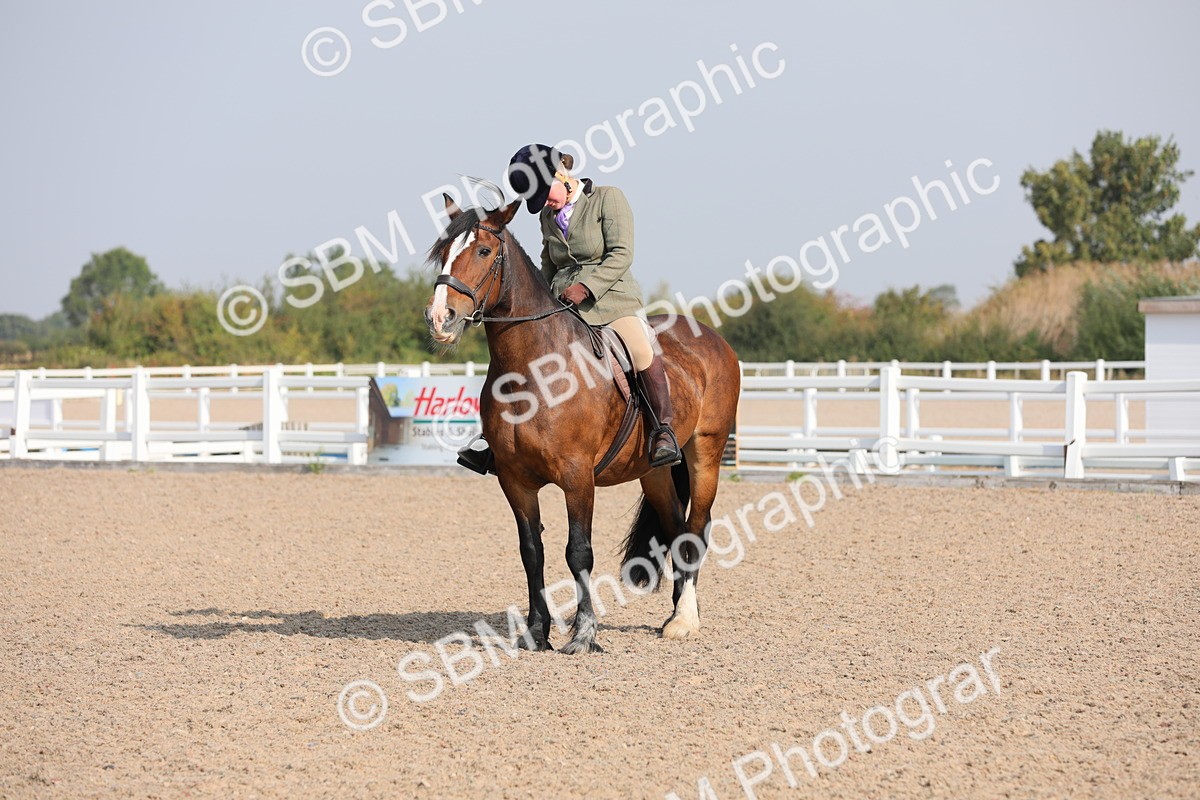 SBM_10924 - Class 304 Ridden Part Bred Horse/Pony