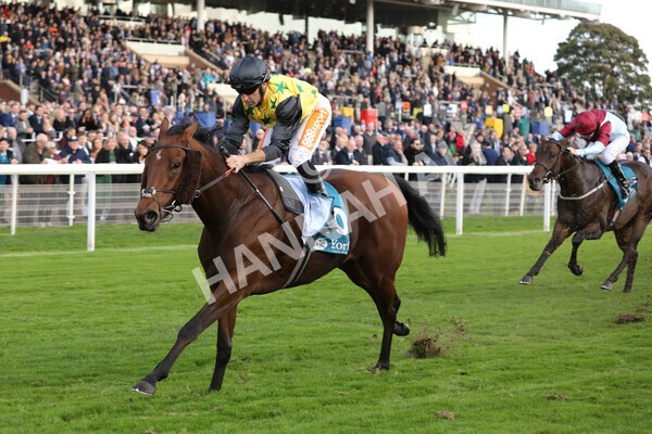 yr07102022r5-21 - Race 5 4.25pm Copper Knight Winningmost Horse Stakes