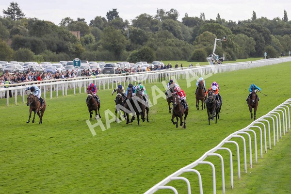 230824-Race 4-Bradsell-8387 - Race 4 3.35pm Coolmore Wootton Bassett Nunthorpe Stakes