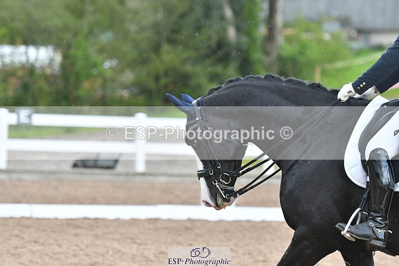 230511A-162325-01348 - BD Cls 18 FEI PSG