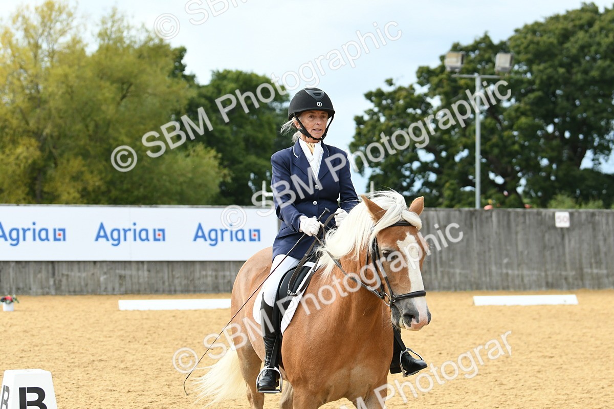 SBM_10927 - D28 Elementary Taster Elementary 42