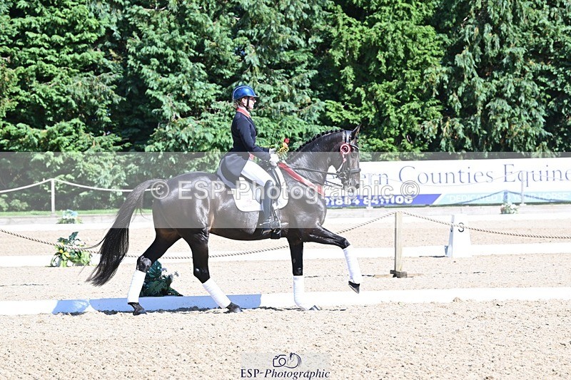 240811-154103-06776 - Inter I Gold