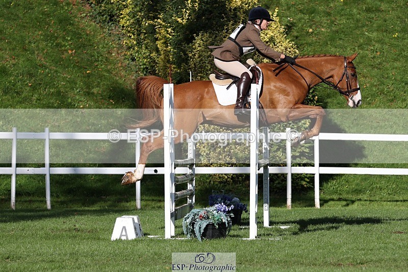 231022-111536-25058 - 607-RICO.III-Alison.Stewart-TrotUp+SJ