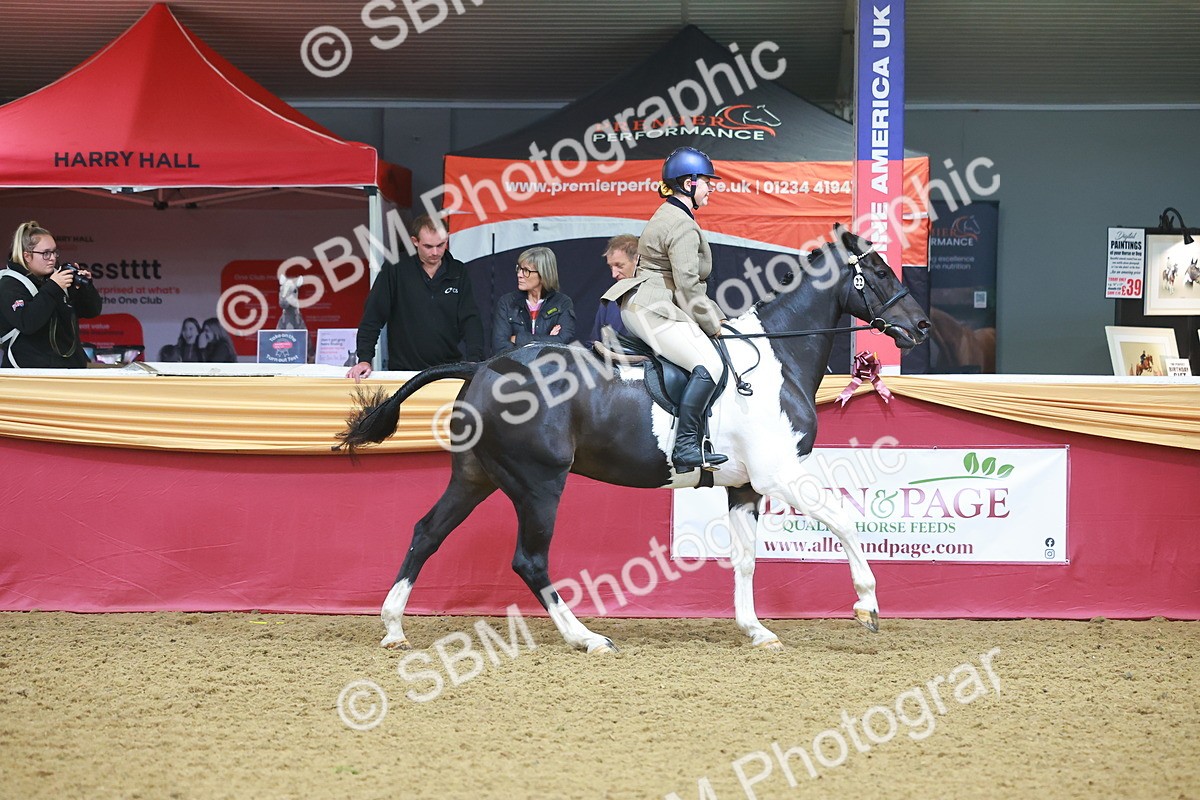 SBM_09641 - Class 102 - HOYS Veteran Qualifier - Ridden Veteran