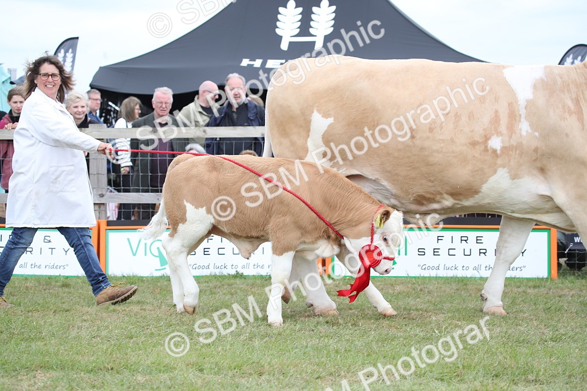 SBM_07863 - Grand Parade