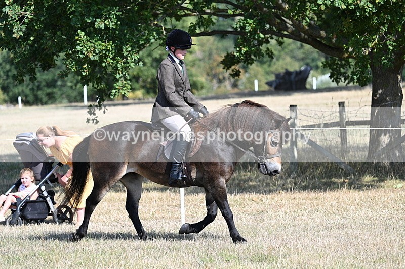 WJ7_2905 - Class 8 Ridden Tack & Turnout