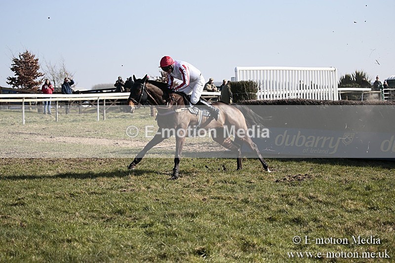 PtP 240218 172 - Vine & Craven Hunt Point-to-Point Barbury racecourse 24/02/18