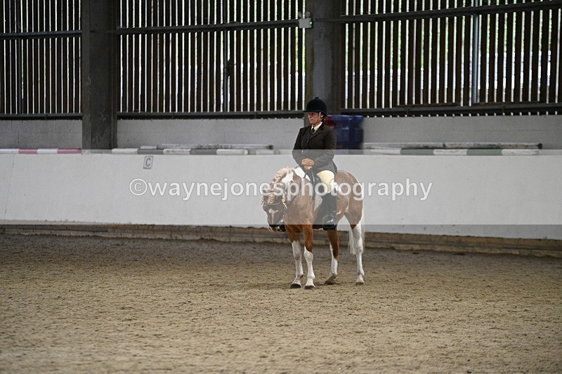 WJ7_3650 - Class 16 Ridden Coloured/ Odd Coloured