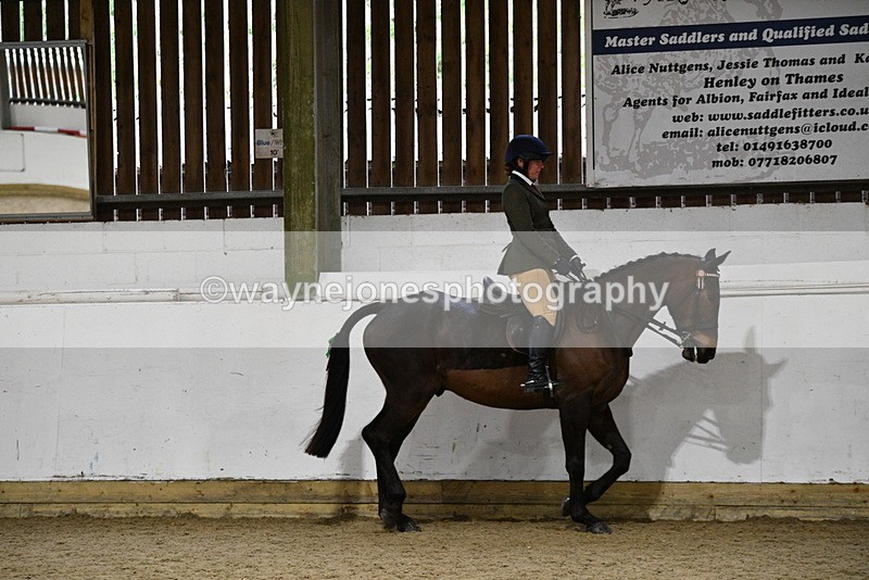WJ5_8765 - Class 15 Ridden Show Horse