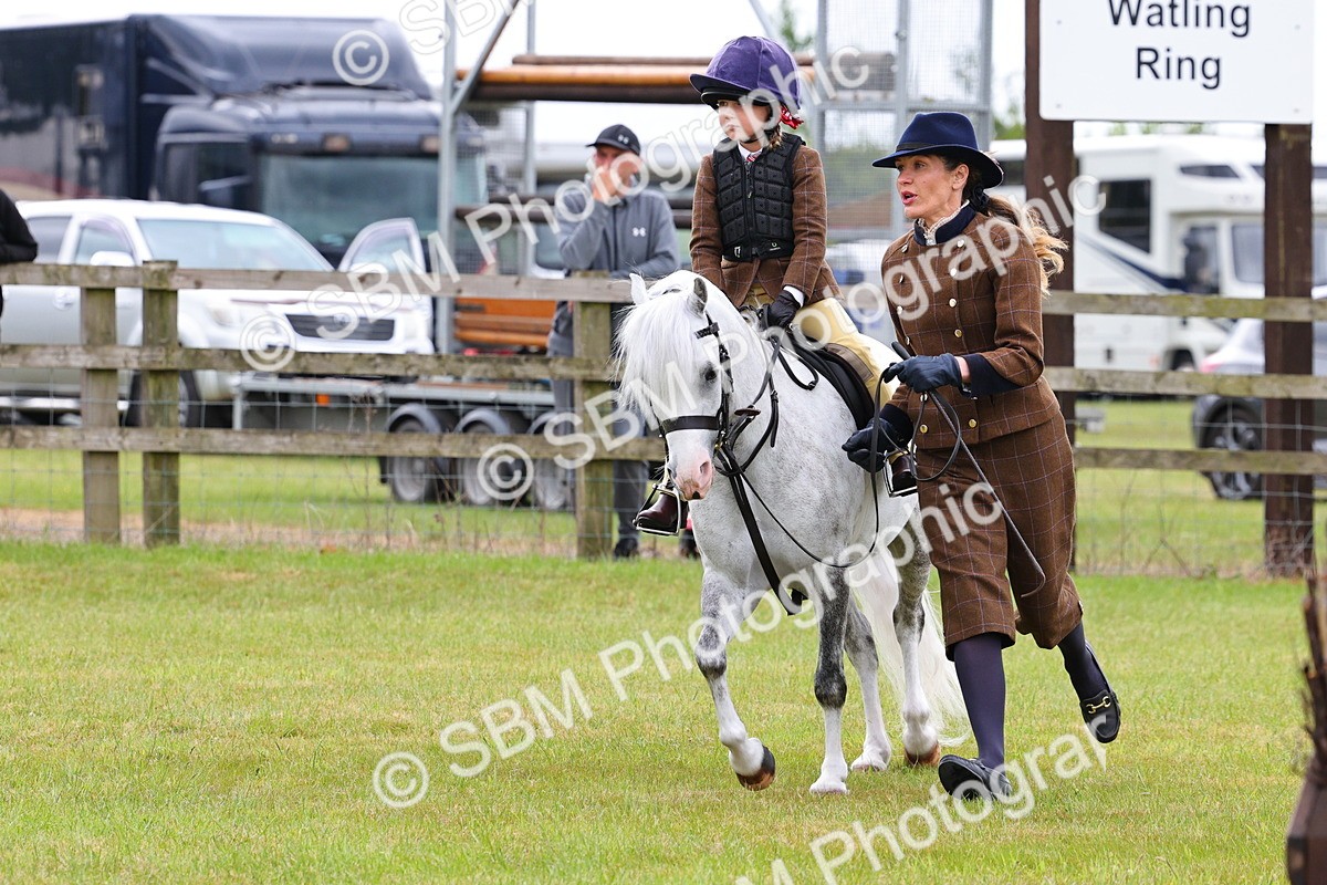 SBM_08256 - Class 42-43 - LIHS BSPS Heritage Working Sports Pony