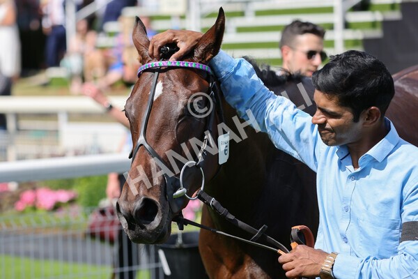 yr09072022r4-42 - Race 4 3.30pm John Smith's Nursery Stakes