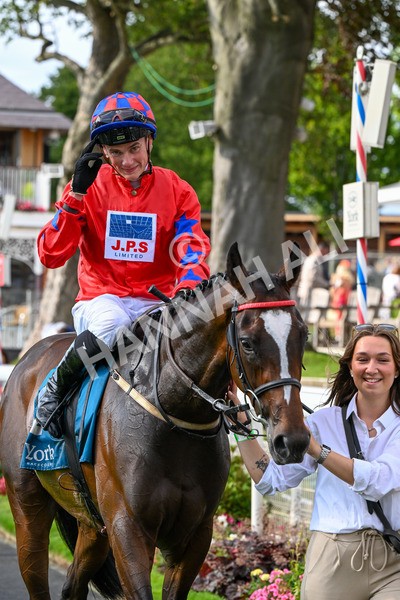 260725-Race 7-Chesneys Charm-0972 - Race 7 5.00pm Sky Bet Extra Places Every Day Handicap