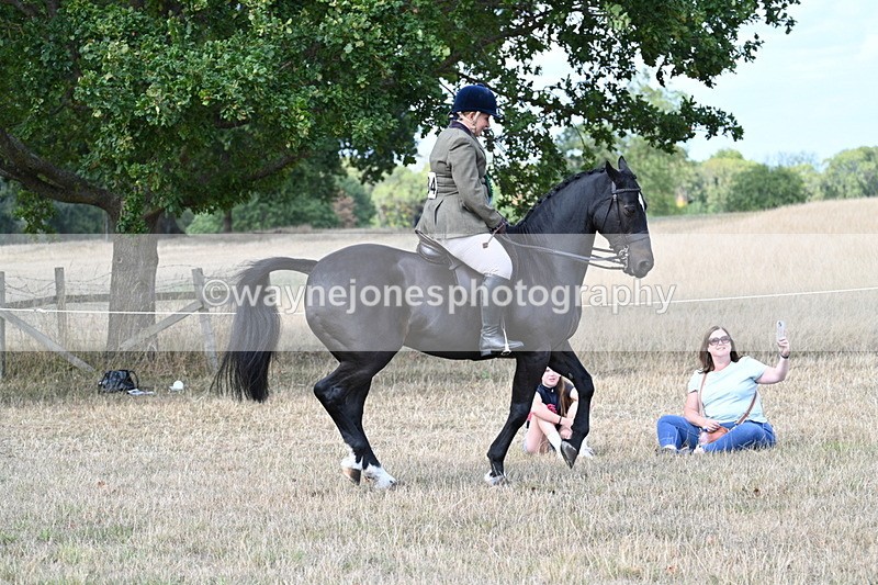 WJ7_6409 - Class 13 Ridden Veterans